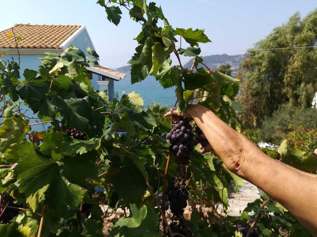 Cozy Apartment Few Mins From Beach Corfu 圣佐治欧斯帕贡 外观 照片