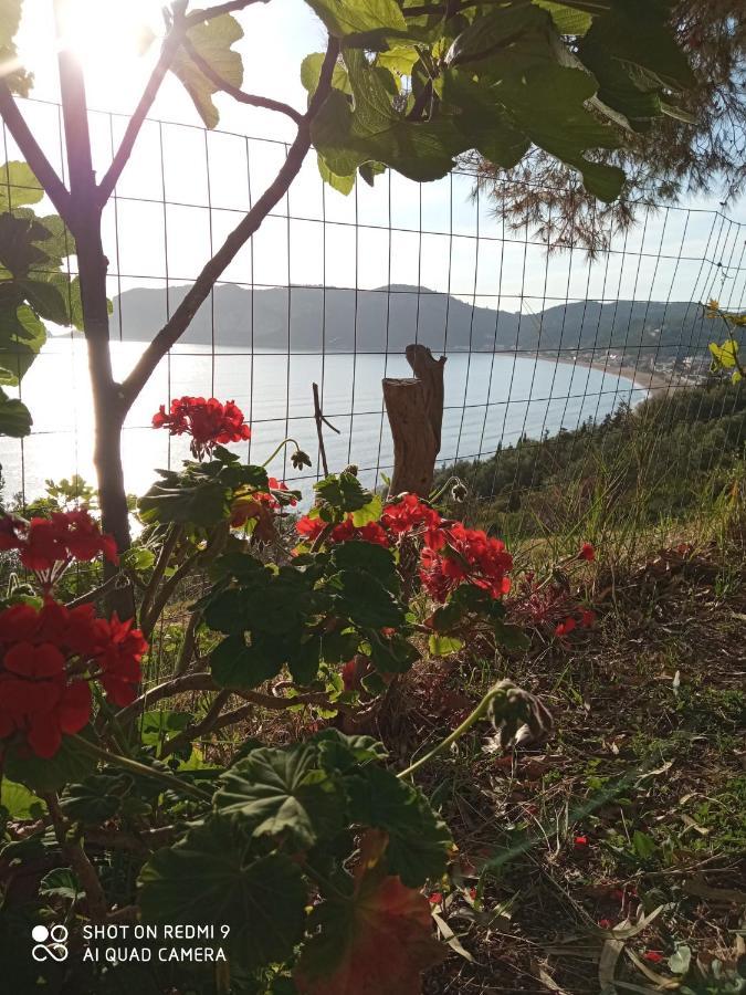 Cozy Apartment Few Mins From Beach Corfu 圣佐治欧斯帕贡 外观 照片
